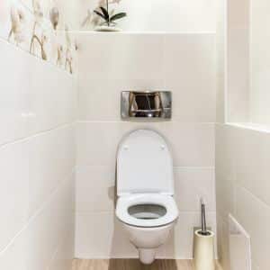 Slide-and-Swing-Toilet-Door