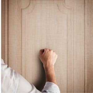Wooden-Laminated-Door